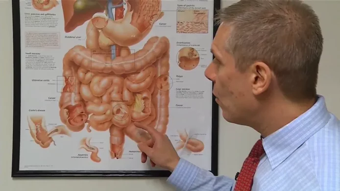 Male medical professional looks at poster diagram of the human body.